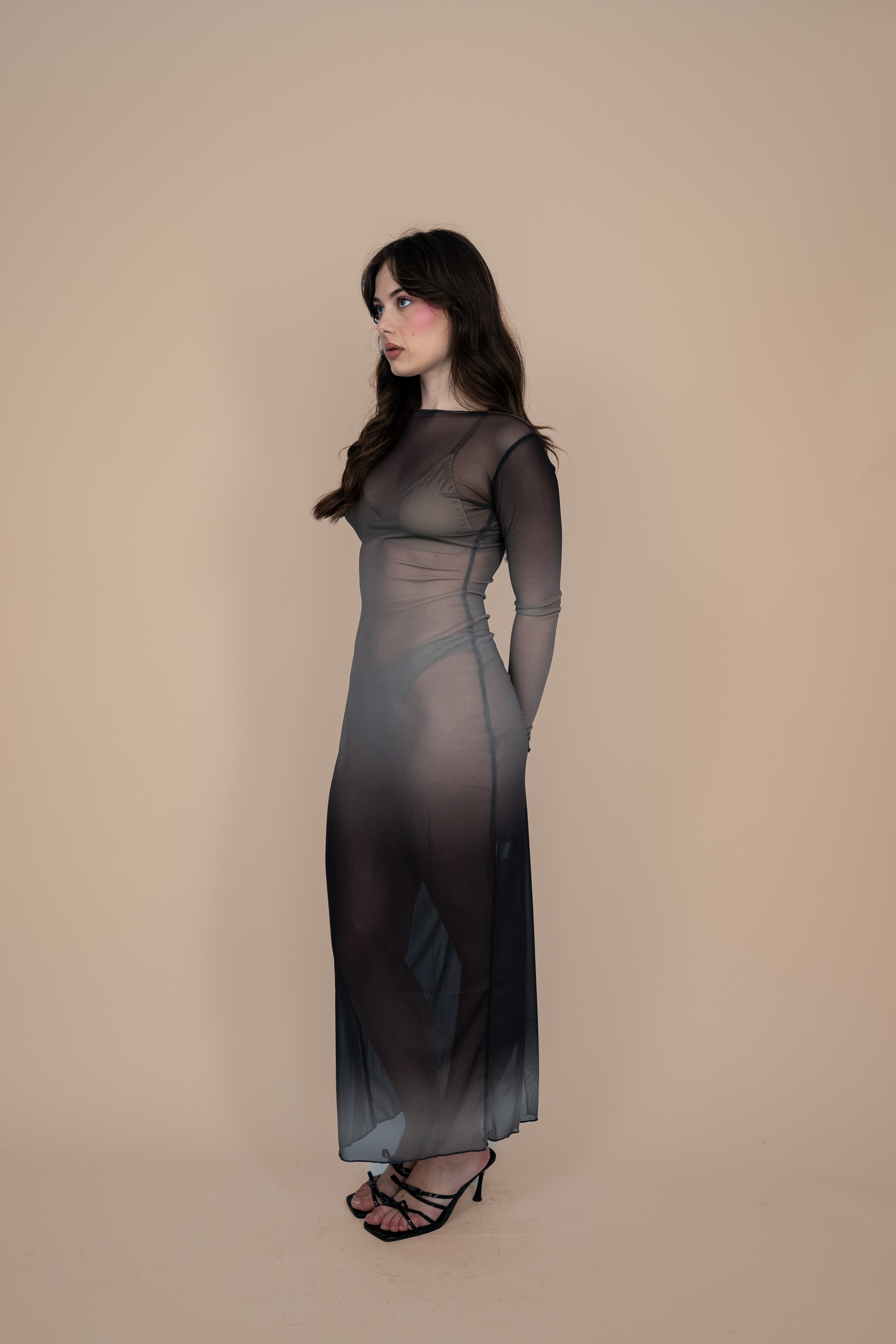 Sheer Illusion Dress